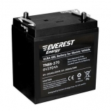 Аккумулятор Everest Energy TNE 6-400 (6V-320AH/C5, 400AH/C20) 300-180-350